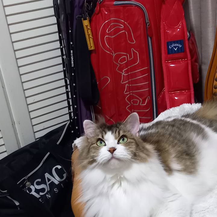 Acbdf18b 231a 4bdc 9e48 fdd6c7b99d6f 1656634159733