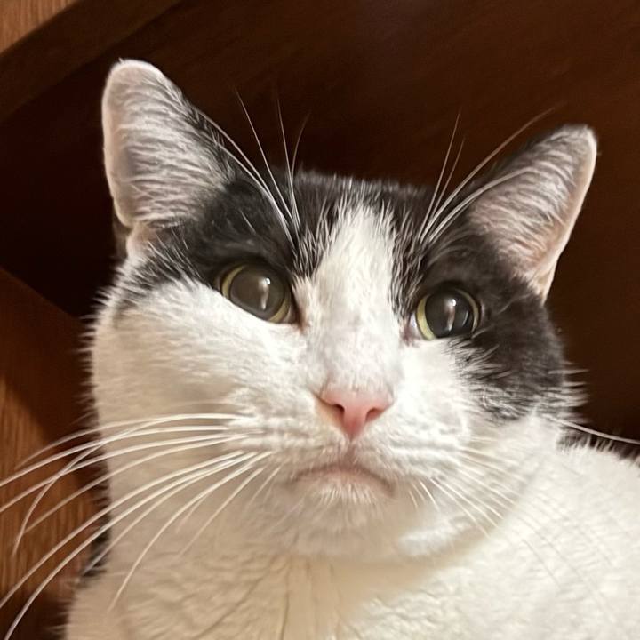 Acbe2b2d d051 48fd ad3d 88392738abd9 1738032974295