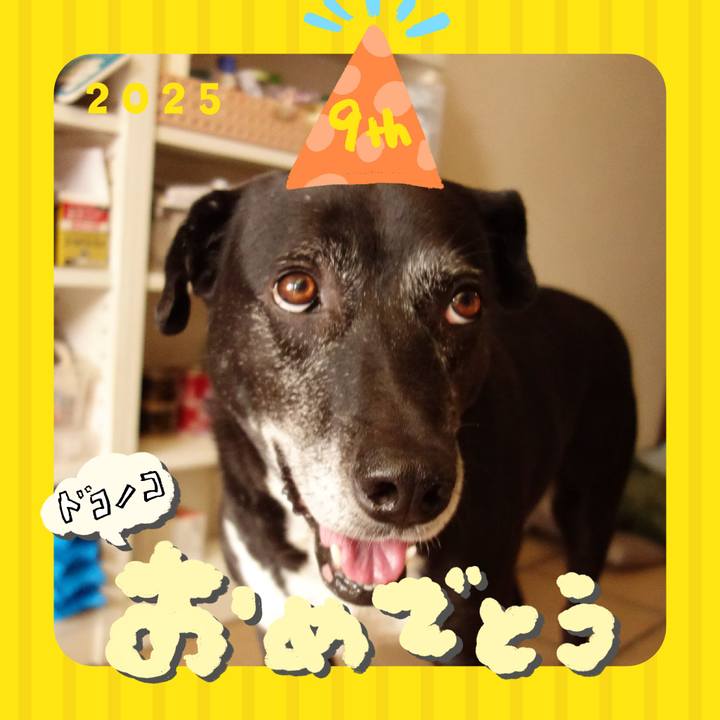 Acbe8fa5 0e6e 4d5d a328 6ba25144a8c5 1749293382332