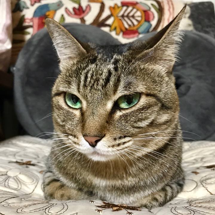 Acbea158 7415 44e4 af48 568f1d67b0b1 1525435907969