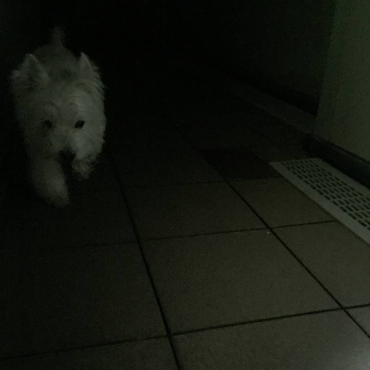 Acbea509 69fa 4bd2 8b7f 825c2a5bcce6 1521725018085