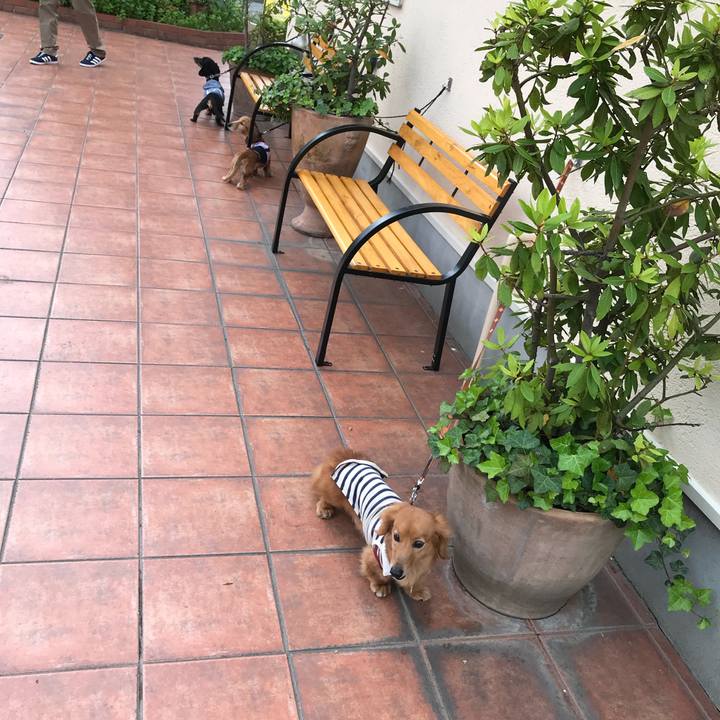 Acbf06f3 34fa 49ce b720 cfe6bafa621e 1526167408530