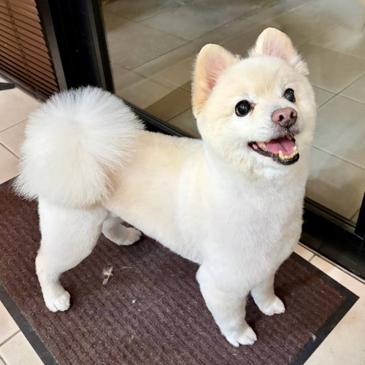 Acbf08a7 f0ae 410b 8b33 f8d65aea039d 1771716399535