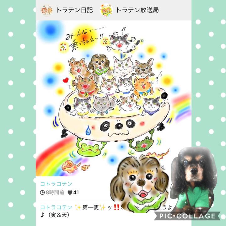 Acbf101e 027f 4983 bbb2 399a2ac27a0d 1593351498608