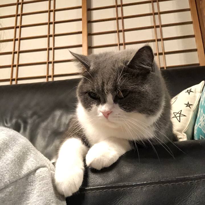 Acbf1ac2 9480 4cd1 9cd7 c77eec773d09 1572259955489