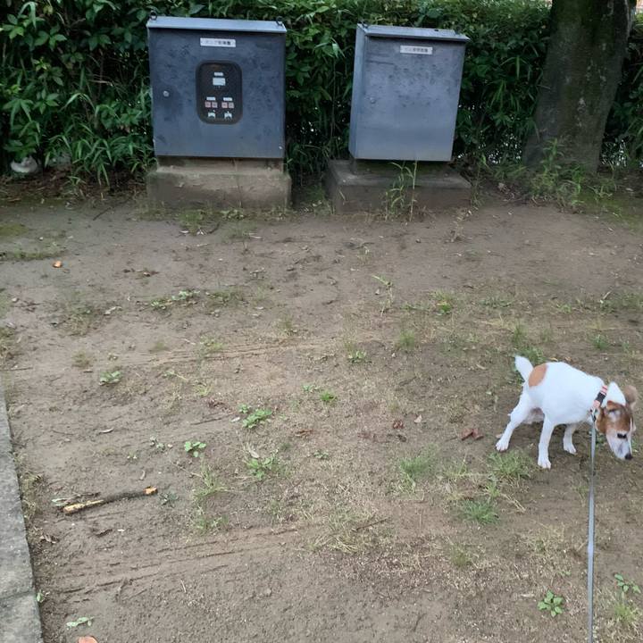 Acbf25a3 fe35 49f9 9e80 b4aa30b97123 1621427363440