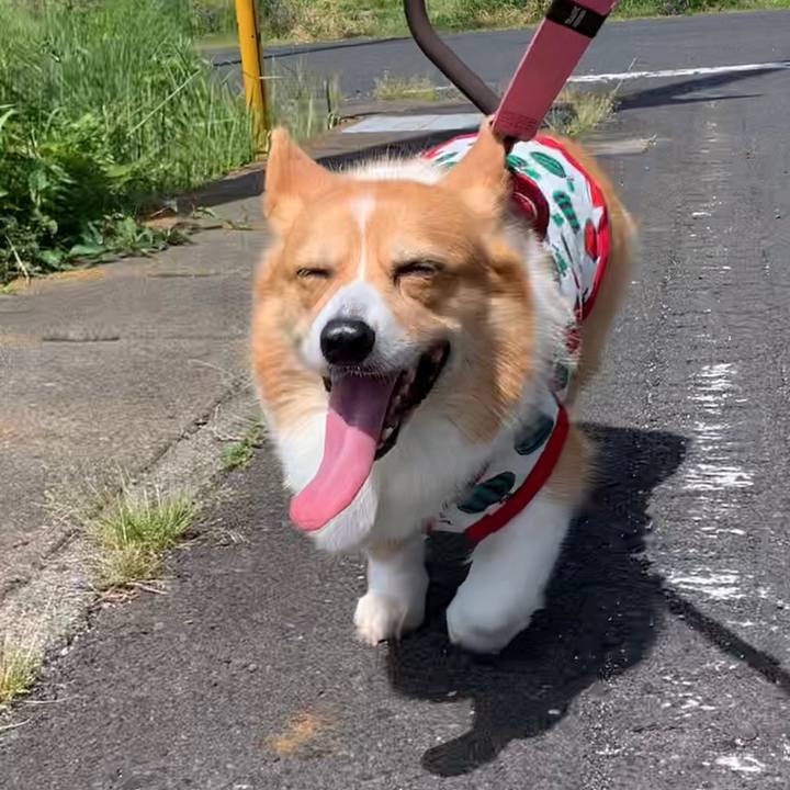 Acbf2a8f 8b3e 4ec2 b864 4ba93ff02be6 1651978541642