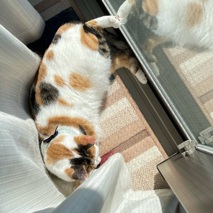 Acbf4eac 9092 4e4e a900 b4bb408f83f5 1667707347003