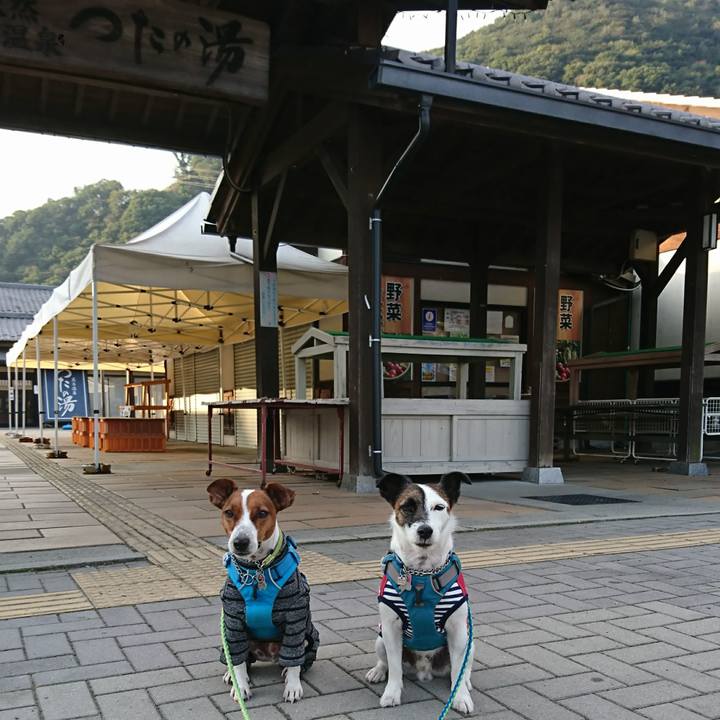 Acbf80ee c6f6 4ecd 8cf2 353e61d7ff95 1600725257910