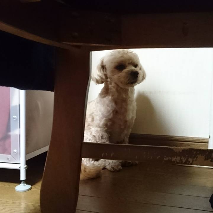 Acbf85e7 5f9c 416c 8cce 222b56e6ca5e 1584961914547