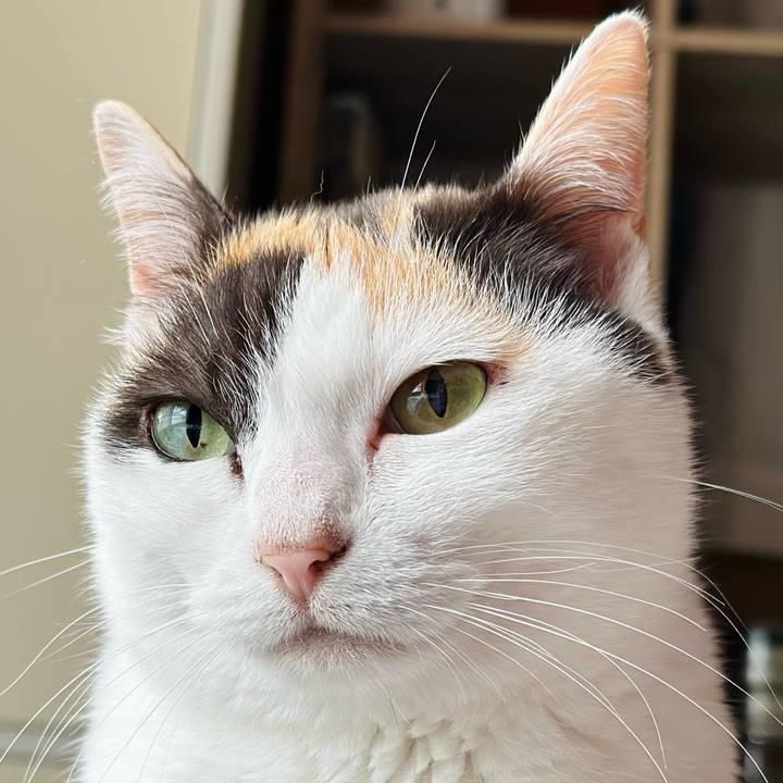 Acbfa25b cca9 4783 a9c2 7518ca668fd6 1716258195608