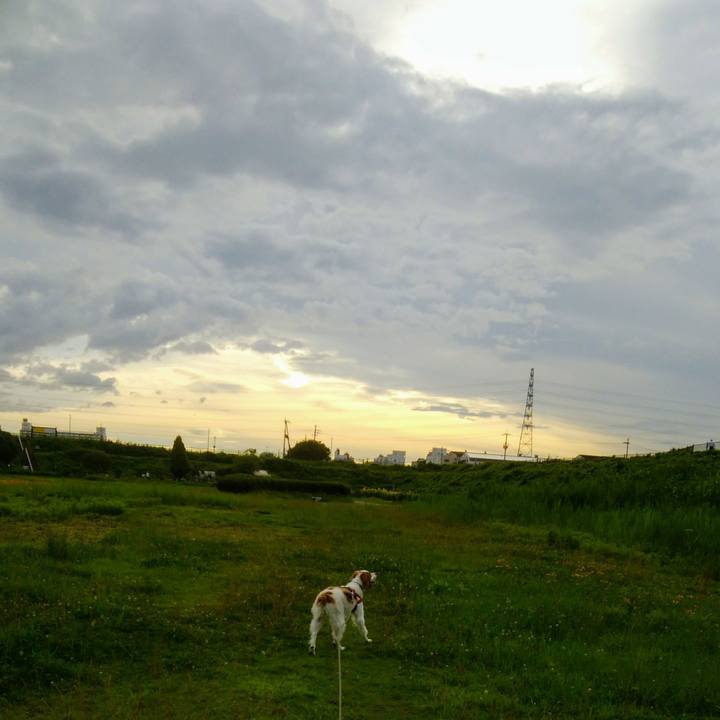 Acbfe949 fe9a 49ef 8ef8 b8b164b427fb 1530359602019