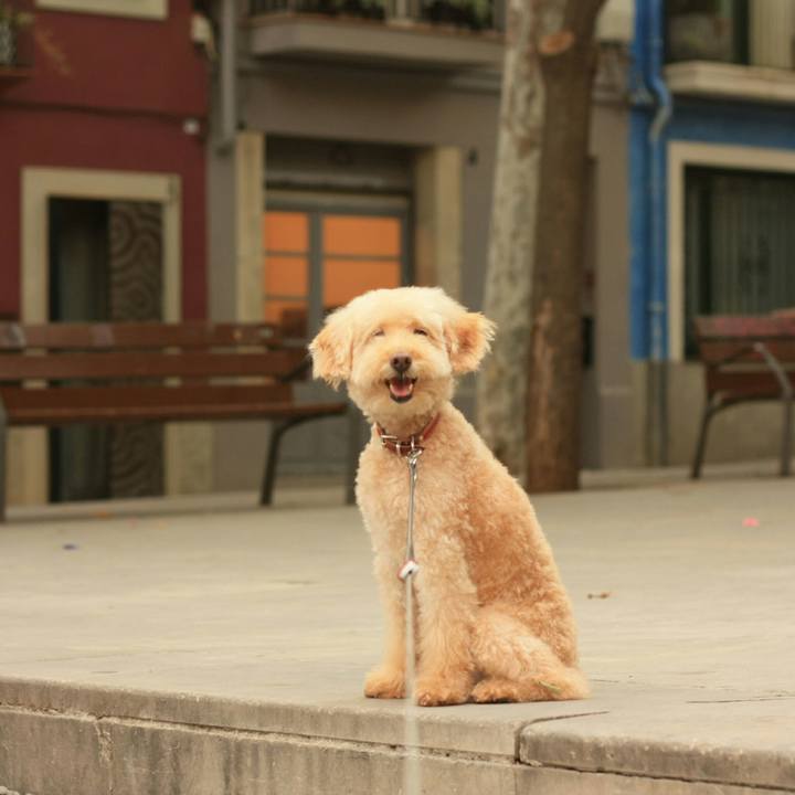 Acc01876 be63 482c a266 f90b06858229 1531172411914