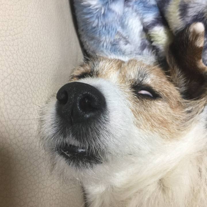 Acc0325b d667 4a56 aec6 45a19a2d1a60 1549720856666