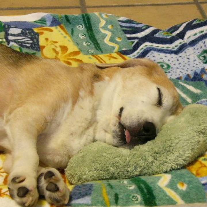 Acc05960 6bf0 47c5 b7c1 11ff9239036b 1690334574310