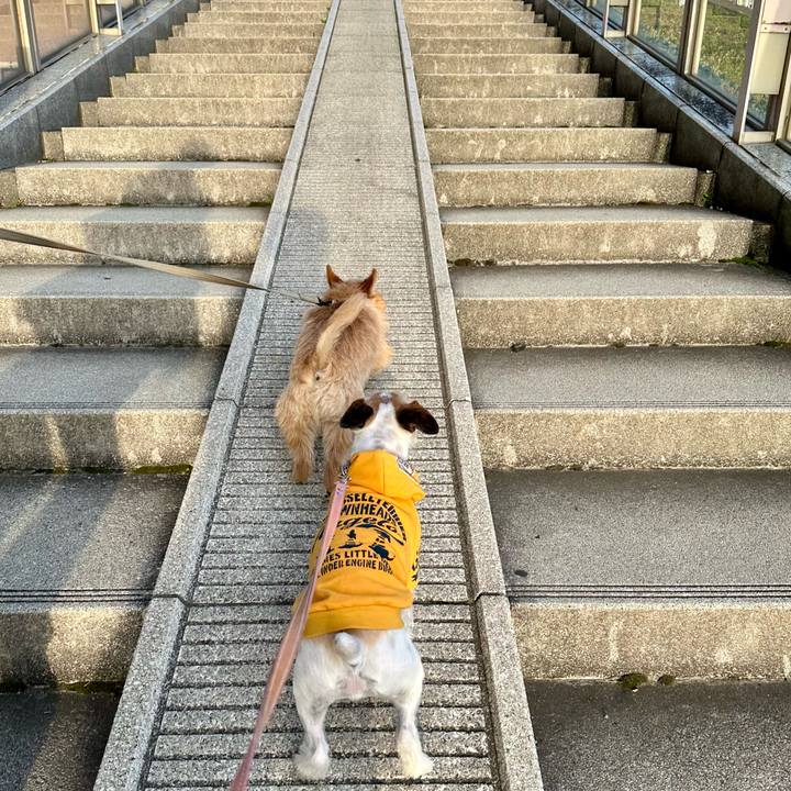 Acc07201 48e2 44cb a3ea ee0104c5e781 1713023272519