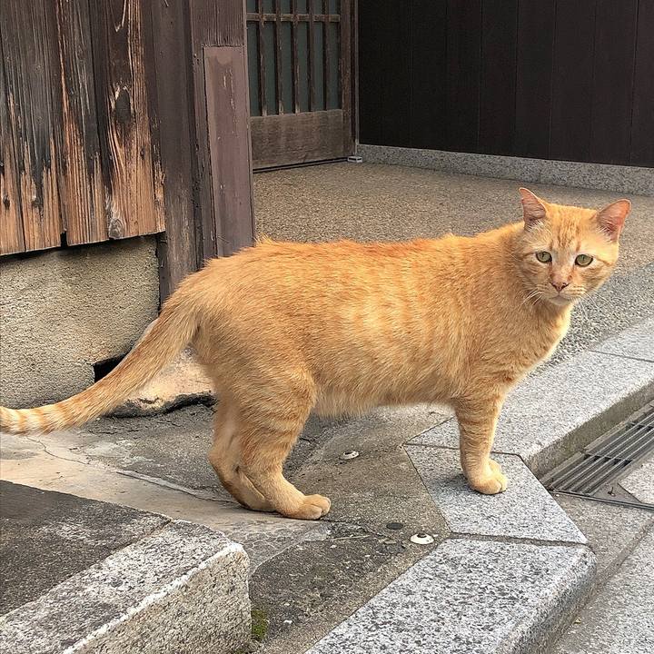 Acc07ef7 66ae 4192 81cf 543648ea04cf 1654248339329