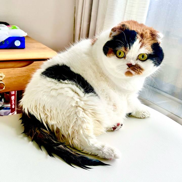 Acc086d5 b02a 4bc3 8eaf fd19d49fb638 1703634701730