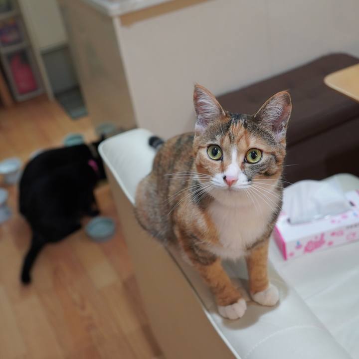 Acc0ab14 787e 4beb 84ce bc40ad4ffba0 1590245701190