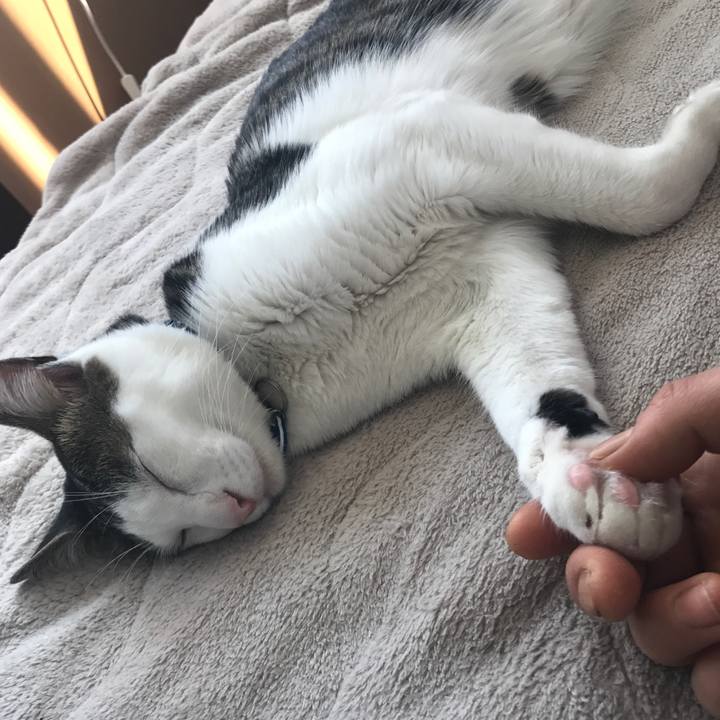 Acc0b71f cc27 444e 8546 b9bf3893b3a6 1530280711376