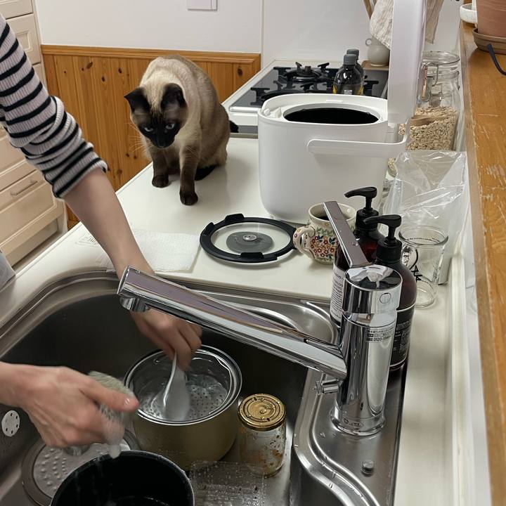 Acc0db51 9182 4256 871f e68f56c64ec5 1735371706530