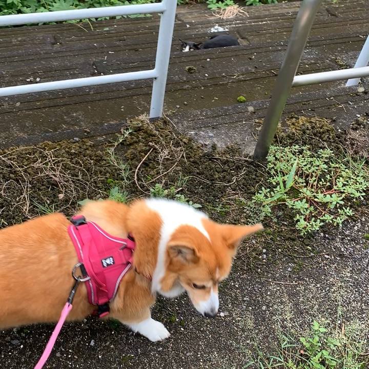 Acc11a53 f059 443f 8743 c4374039b158 1630892273776