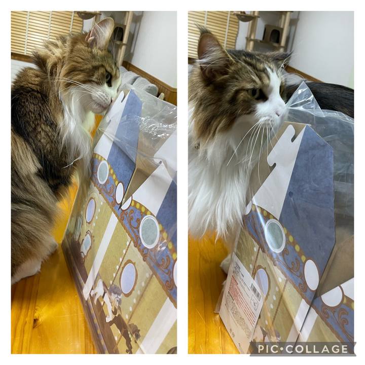 Acc12657 38a7 4f82 8c1b 20f31c30d585 1686828042123