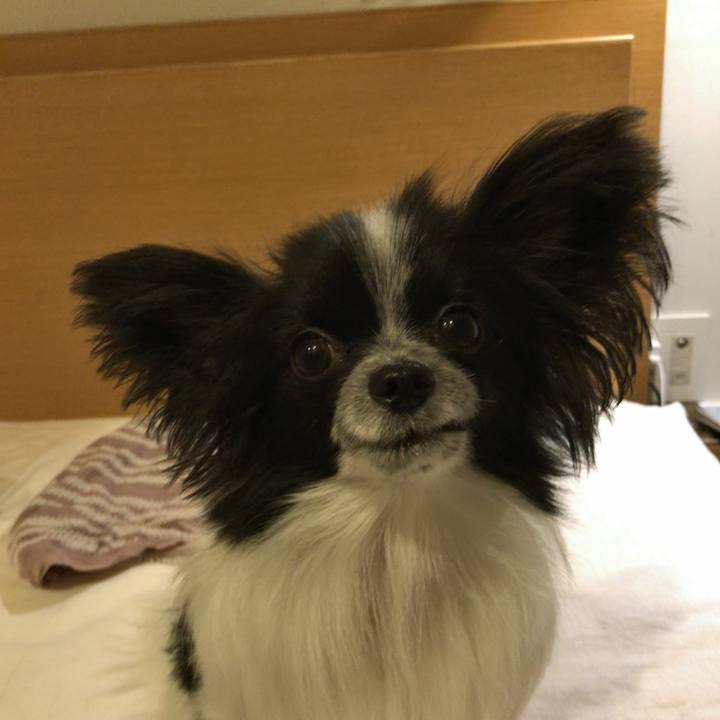 Acc17046 a8d2 42d2 ad21 996b14fd3552 1511874608593