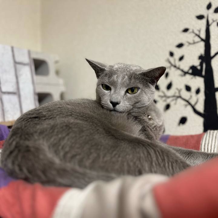 Acc1780e 686d 4496 889e 14bb4f200b9d 1710763280347