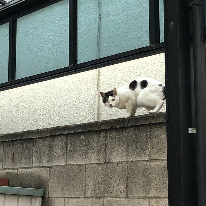 Acc1840f e672 442f 8b1f 267c1c2b08af 1560856703768