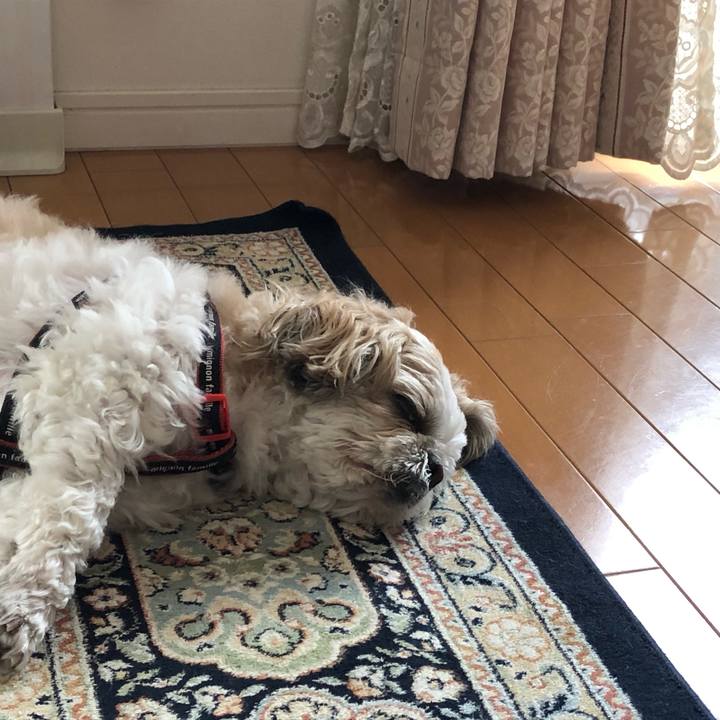 Acc1a92a a270 4efe 9fad dbd18efdaf5a 1588470897957