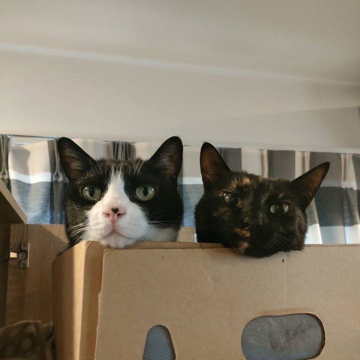 Acc2505c 31f3 4167 b325 a509d00631a6 1767176836917