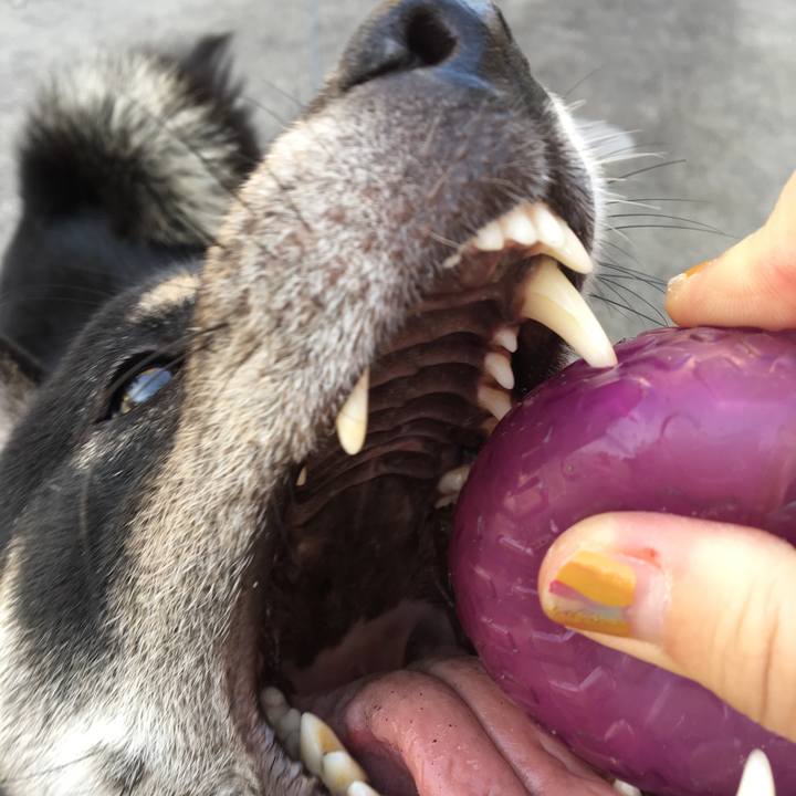 Acc25196 70b9 4be6 8ba4 2e8cf3bfe9c7 1542342696316