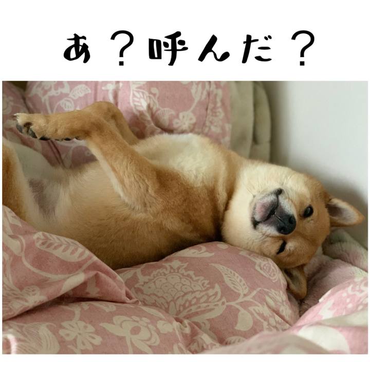 Acc29022 a31c 4d25 b494 771c3cf57808 1652088361098
