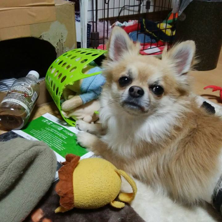 Acc29096 3c02 42ee afc6 1e35f4c31dc3 1521972764089