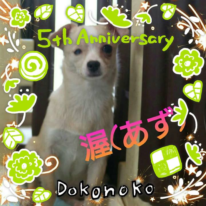 Acc29785 ec9e 434a ba6c 88ea4ae570ab 1623029742887
