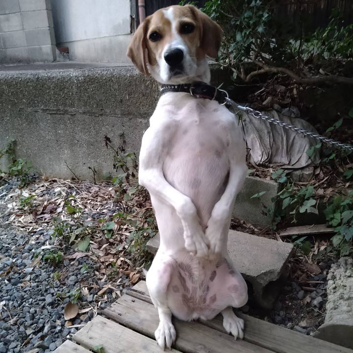 Acc29e16 9274 4ce6 b5ad 7cea1c75b99b 1631179238782