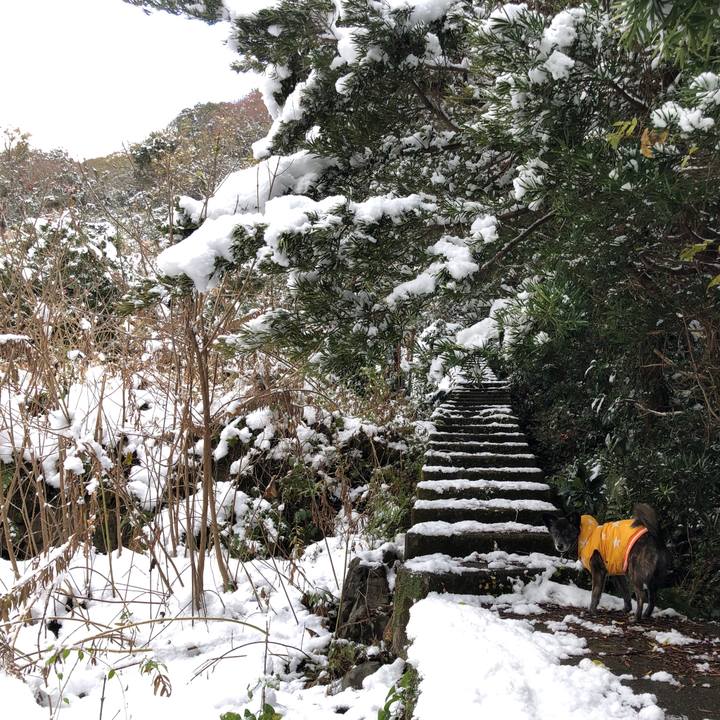 Acc2e6b0 27f5 42ce a46e b04c1adadce4 1610249193889