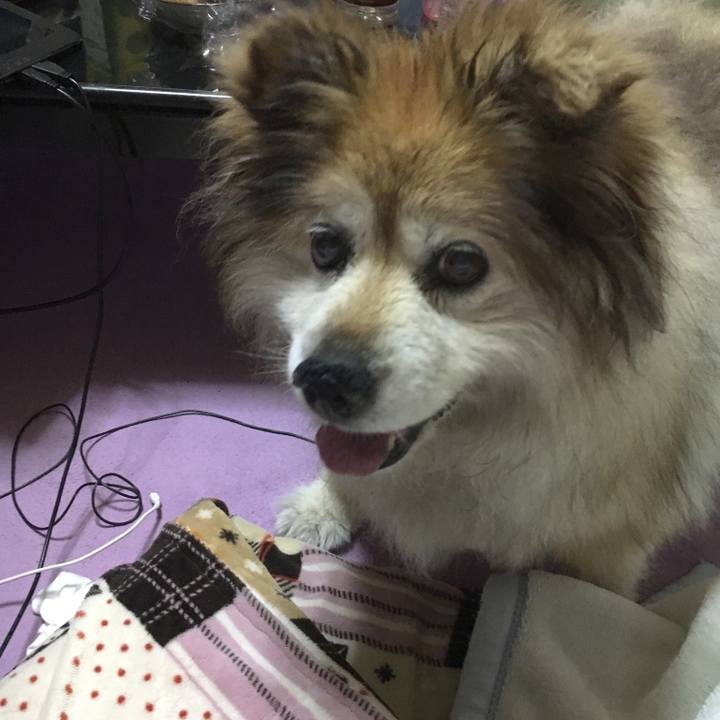 Acc30aea 267e 47ec 9c4b 02a9d65bc482 1566529990036