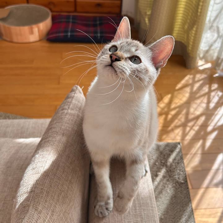 Acc31cf3 ed96 4b3c be20 9d344e64df15 1730950596596