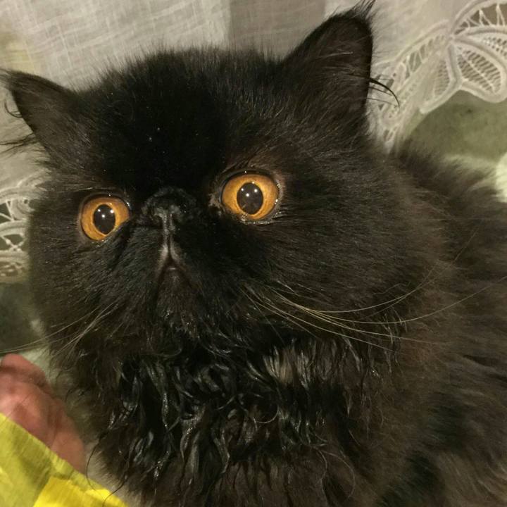 Acc36689 1595 4c35 8eea 5cf062f75ad2 1525774446655