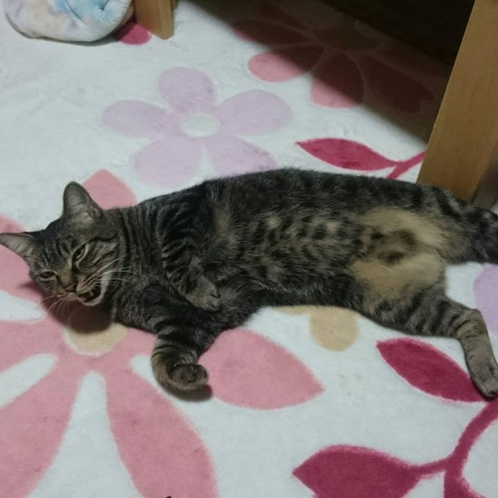 Acc39f7d aa7c 4373 8ff4 82d37e056c3f 1508679830354