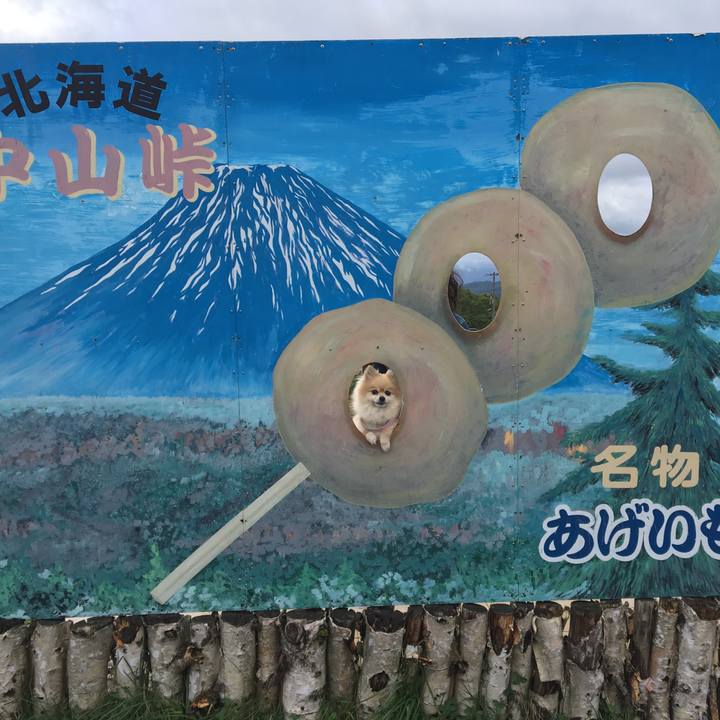 Acc3b161 dd7c 4e9e bc9b 64456d7720b6 1534507775776