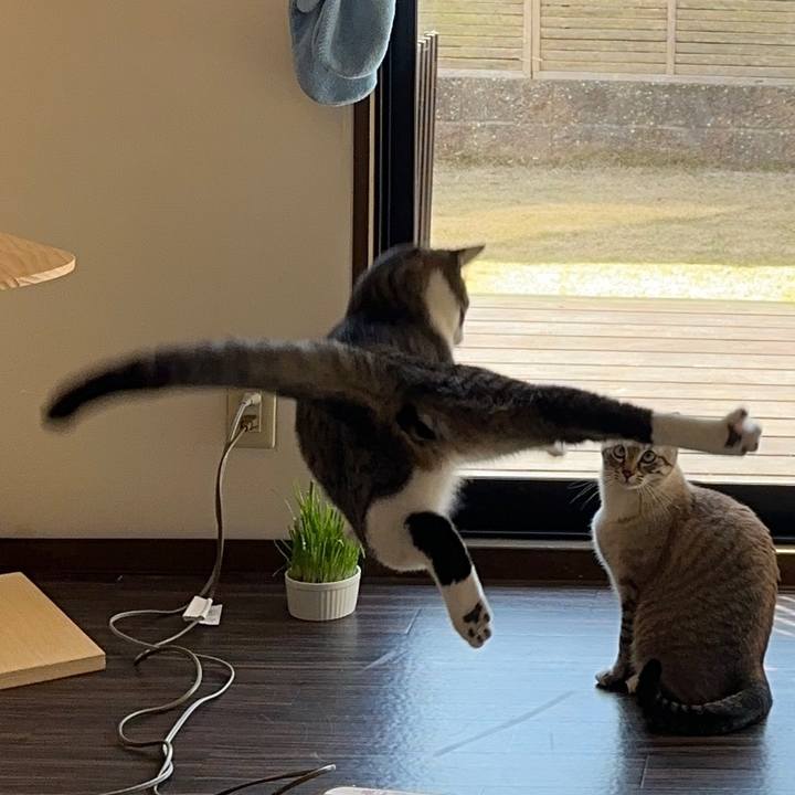 Acc3c2ec b7ec 4926 8e8b 73b413bc9a2e 1686267043179