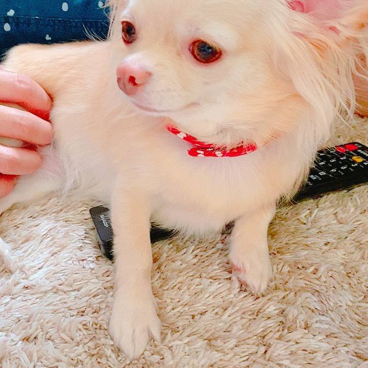 Acc3d182 8016 4862 881d c80ecf3954d6 1628333084244