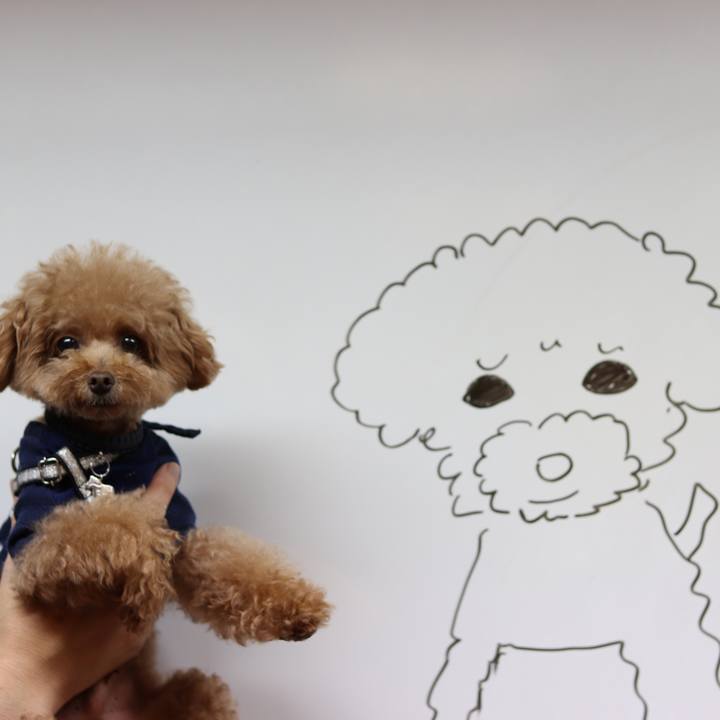 Acc42c65 a5cf 40b9 88fd 3c582f98893b 1528546798714