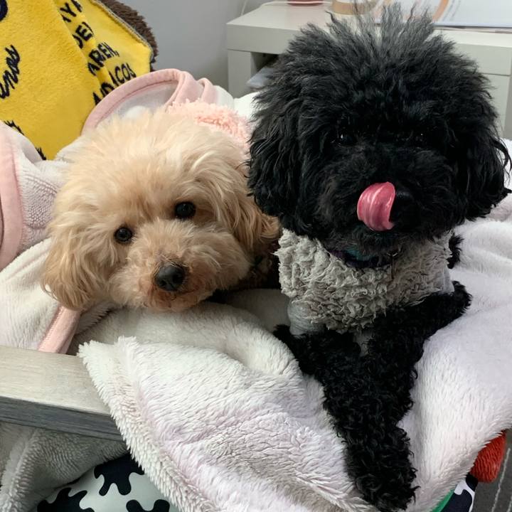 Acc4475b 1e45 4521 b568 c5b31245574d 1579559943447