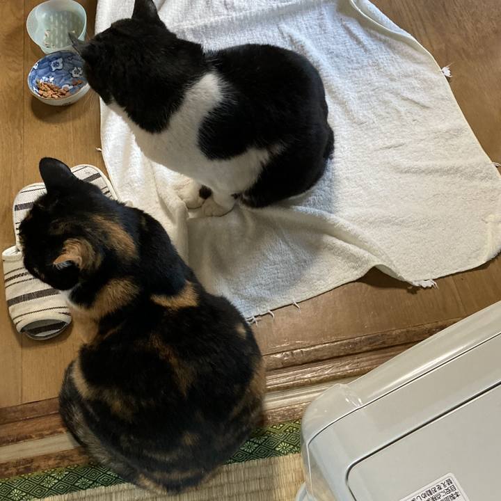 Acc4a4ba 0bcd 41ca 9d8f defc2e5a1edc 1701647716962