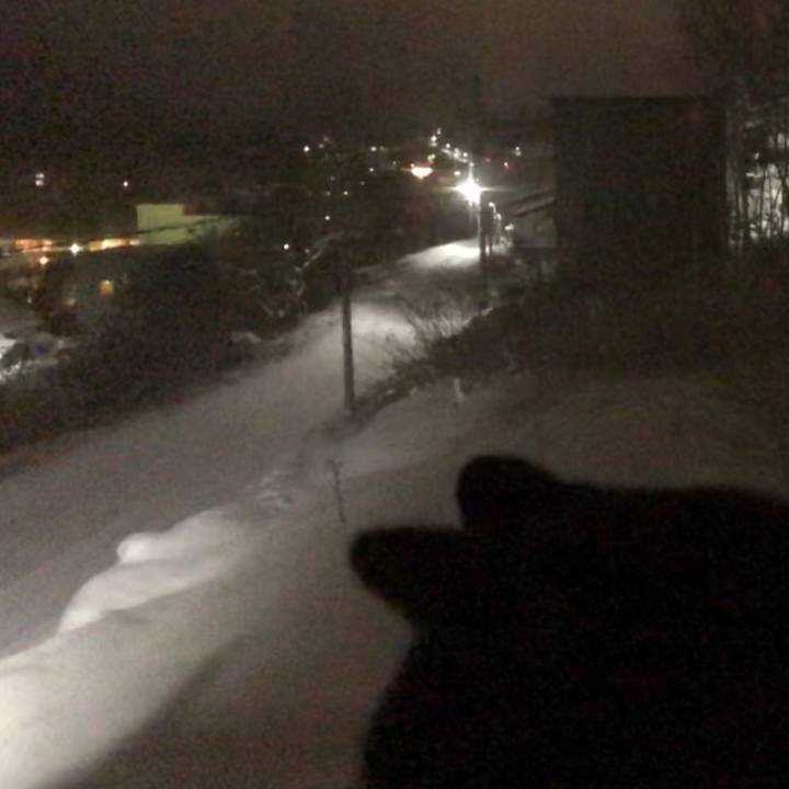 Acc4e398 530a 4531 a7aa 7004999e86ee 1579519064970