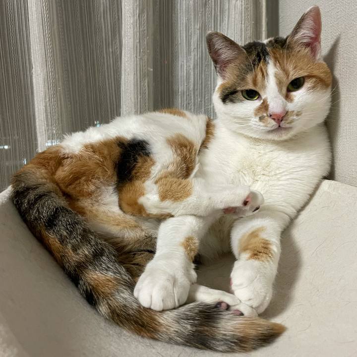 Acc51da1 3bd8 41c3 85b5 5c966e1e7817 1617969498376